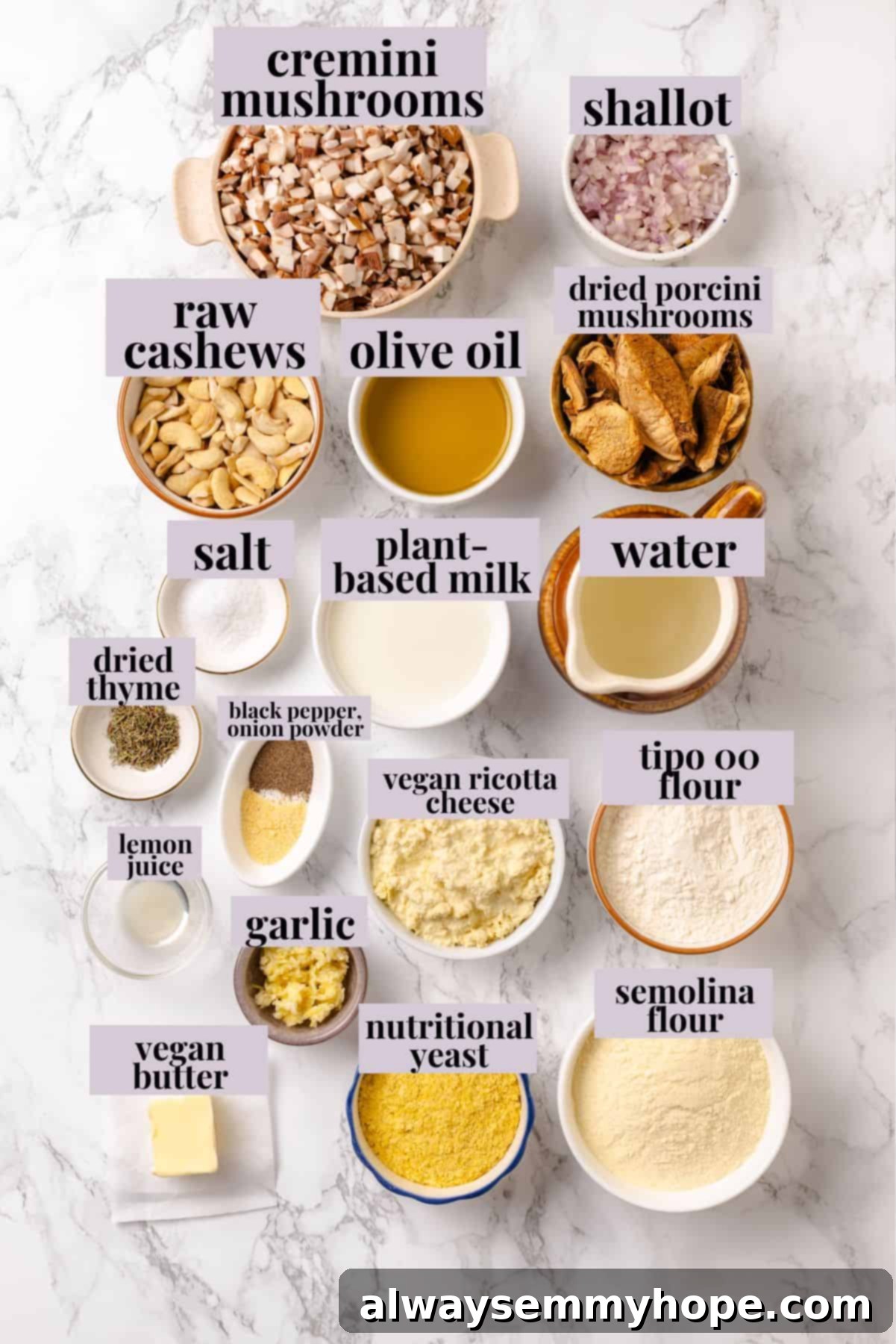 Mushroom Ravioli Delight 3 Ingredients for mushroom ravioli with labels.