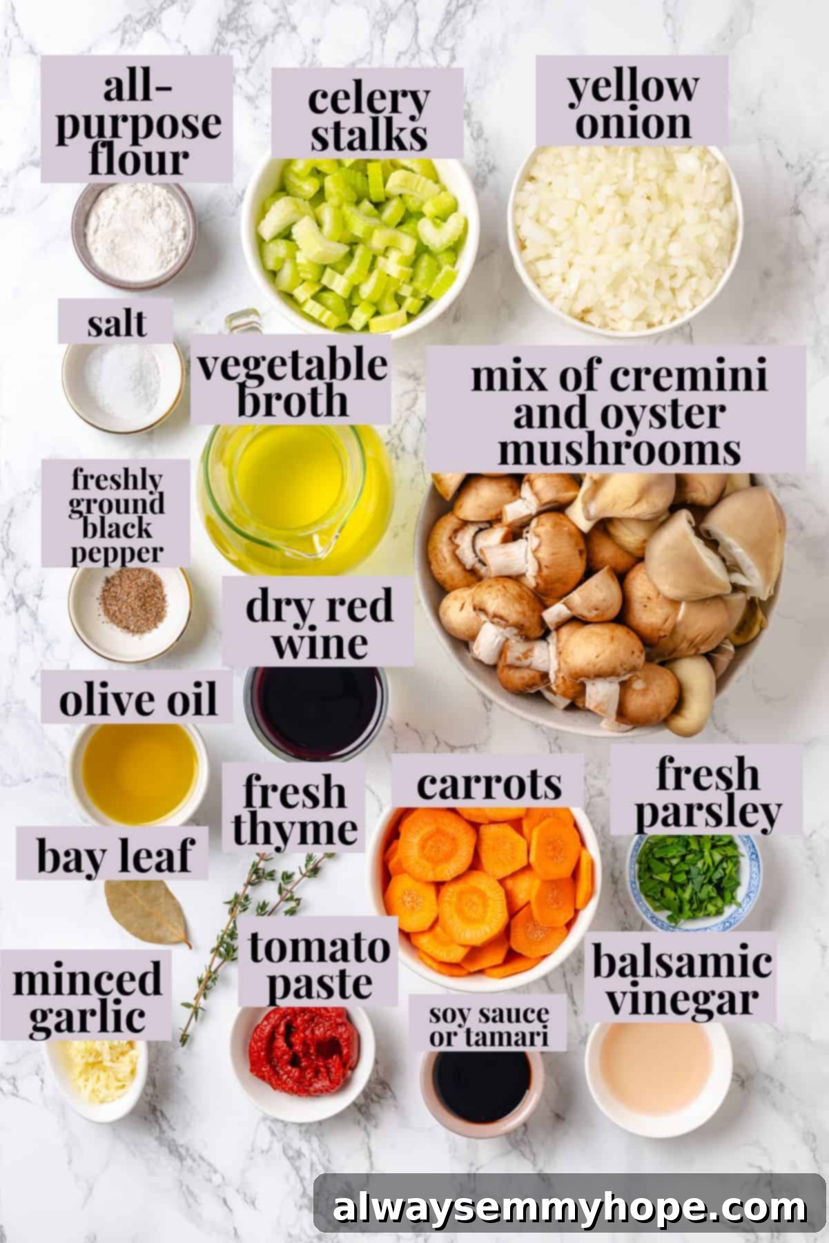 Vegan Mushroom Bourguignon Ingredients Ingredients for vegan mushroom bourguignon, labeled