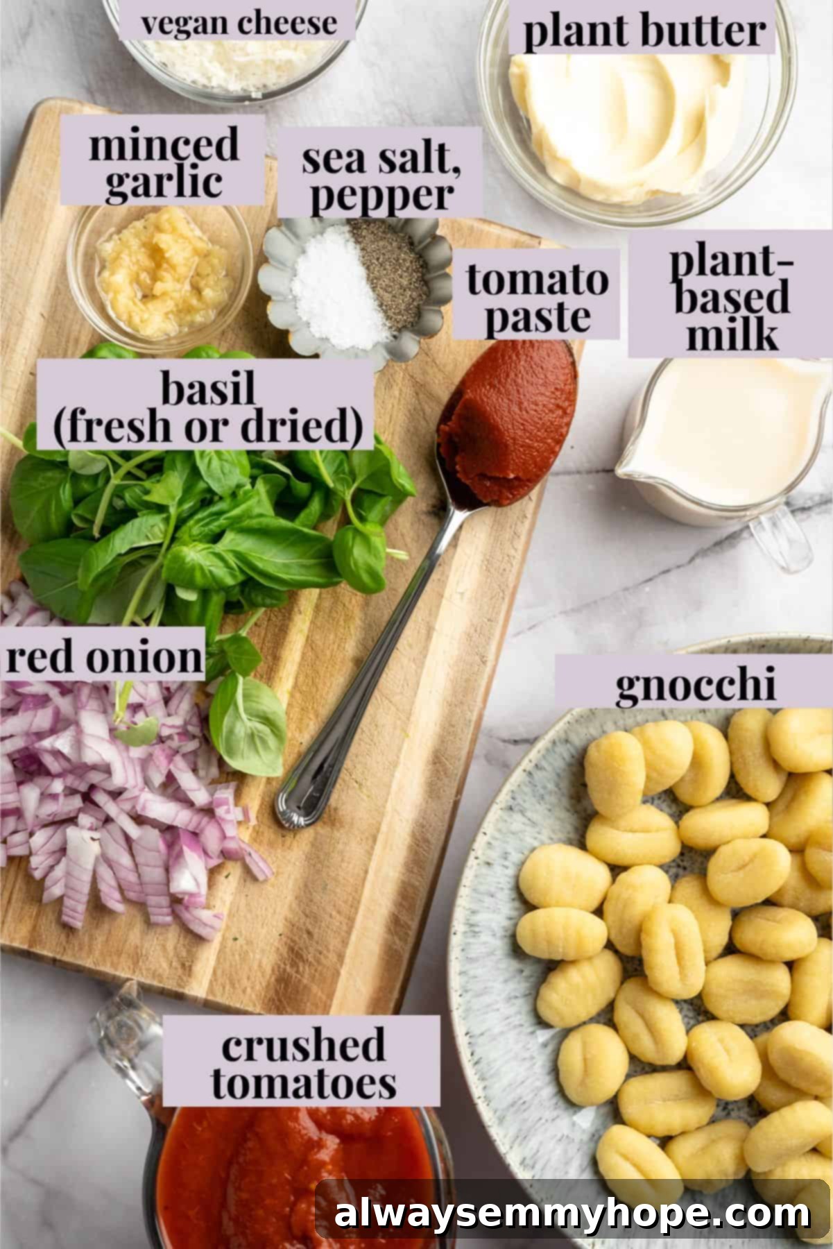 Ingredients for one pot cheesy tomato gnocchi